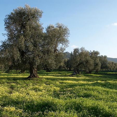 Minicasa Nella Natura, Con Piscina A Due Passi Ostuni Eksteriør billede