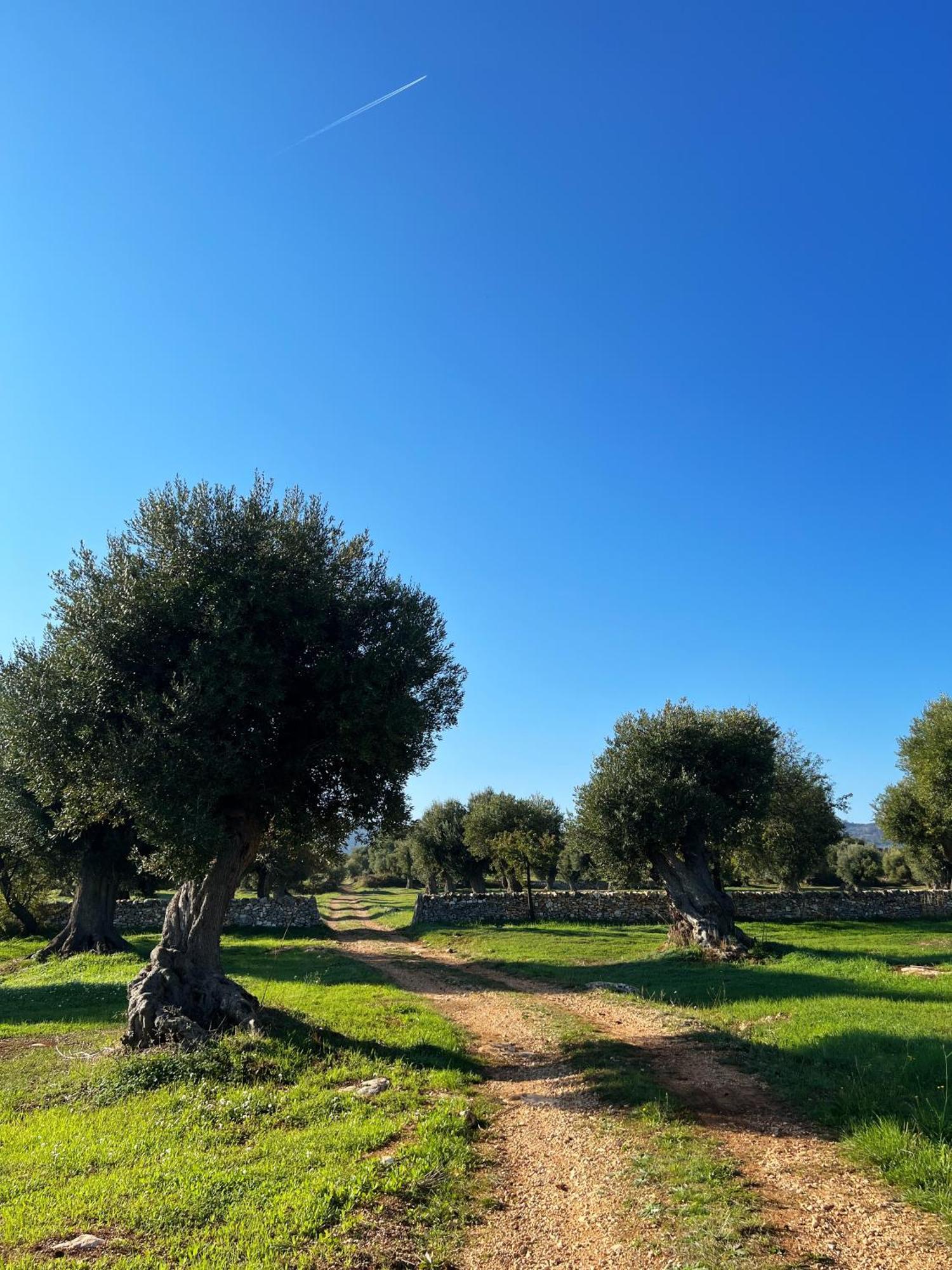 Minicasa Nella Natura, Con Piscina A Due Passi Ostuni Eksteriør billede